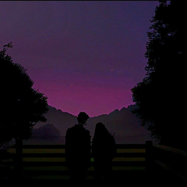 True Love cover art