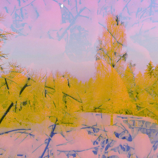 Skogsvatten cover