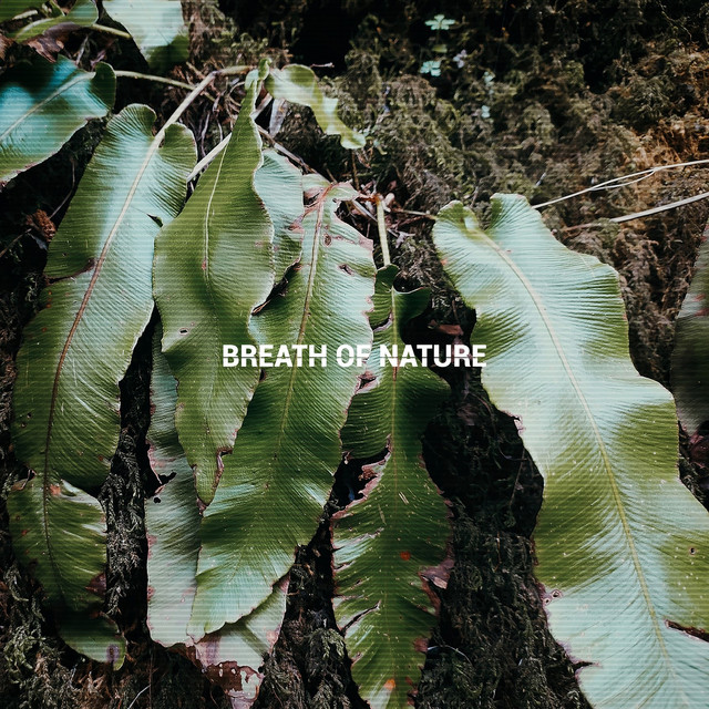 Breath of Nature cover art