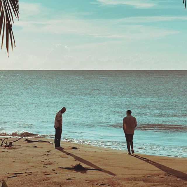 Palm cover art