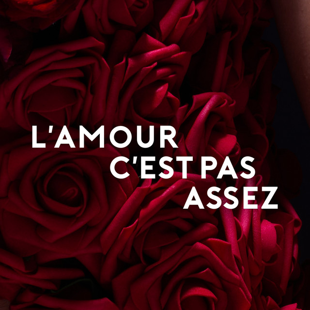 L'amour c'est pas assez cover art