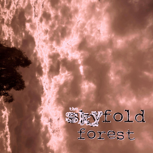 the skyfold forest cover art