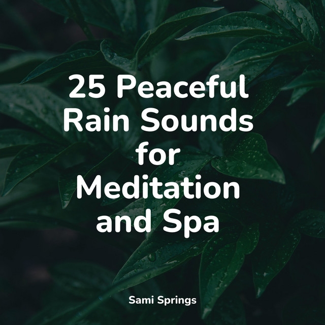 25 Peaceful Rain Sounds for Meditation and Spa - Album by White Noise ...