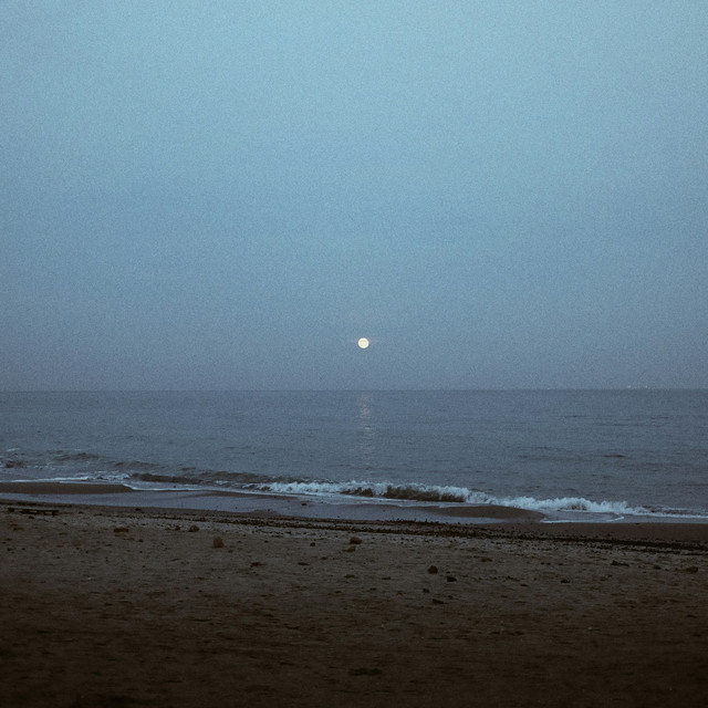 remnants cover art