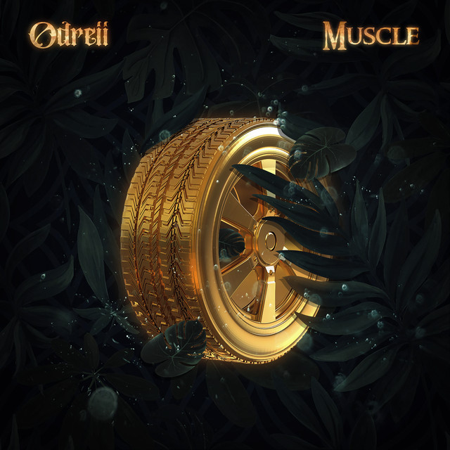 Muscle