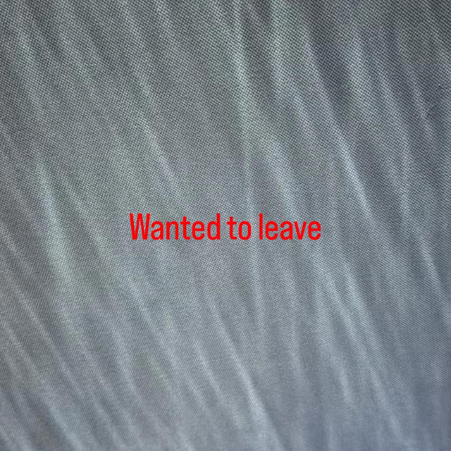 Album art for Want U