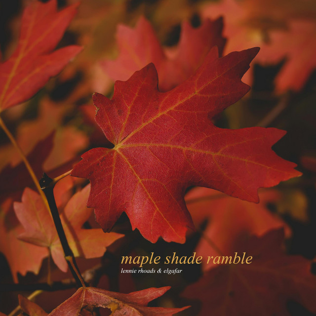 Maple Shade Ramble album image
