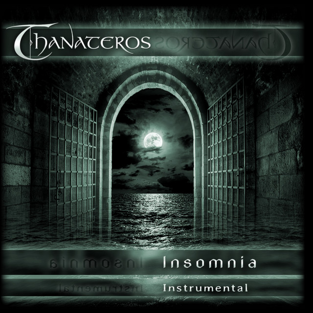 INSOMNIA (Instrumental Version) cover art