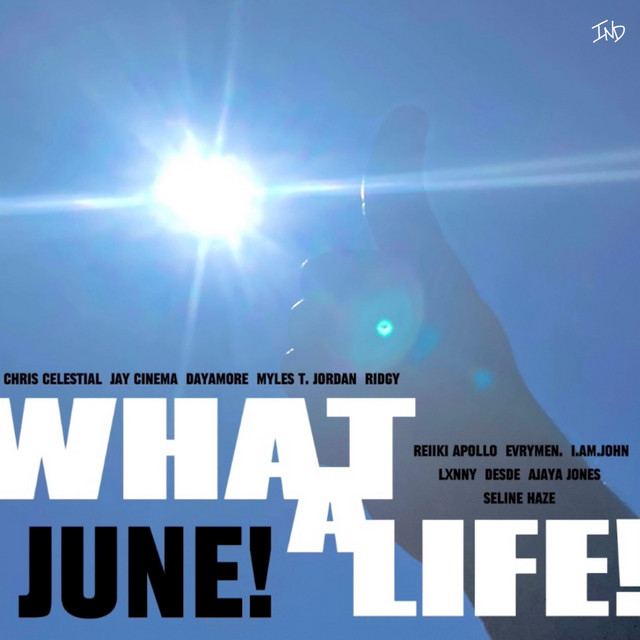 What a Life cover art
