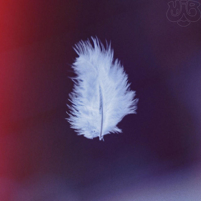 Torn cover art