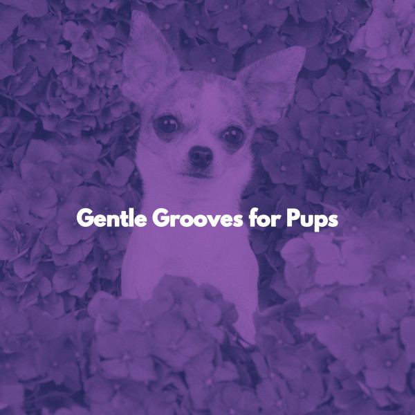 Gentle Grooves for Pups cover art