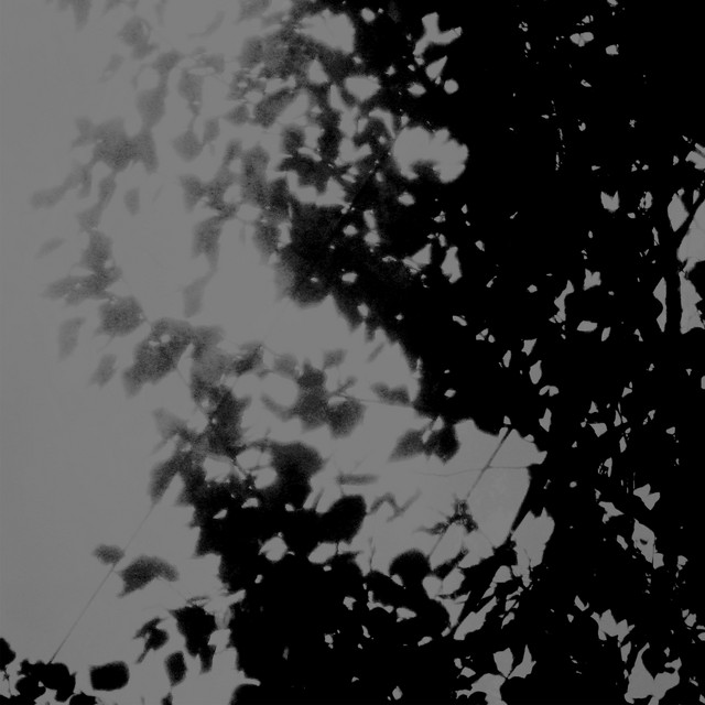 Обкладинка Moon Of The Wind — In Waiting for the Forgiven Happiness