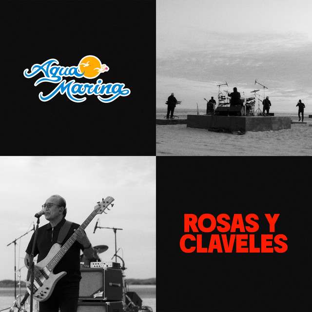 Rosas y claveles album image