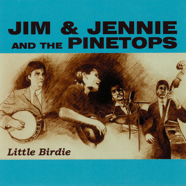 Little Birdie cover art