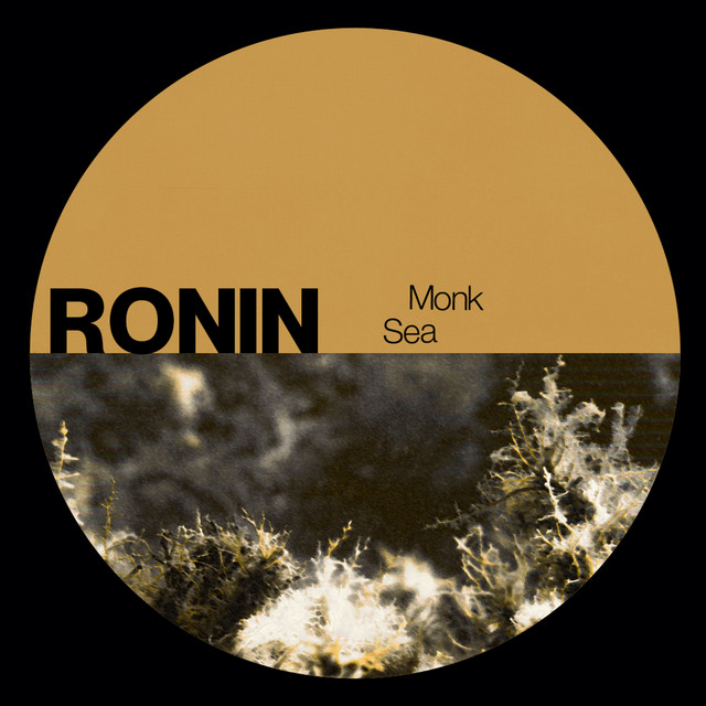 Monk Sea cover art