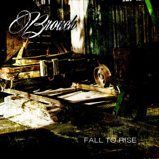 Fall To Rise cover art
