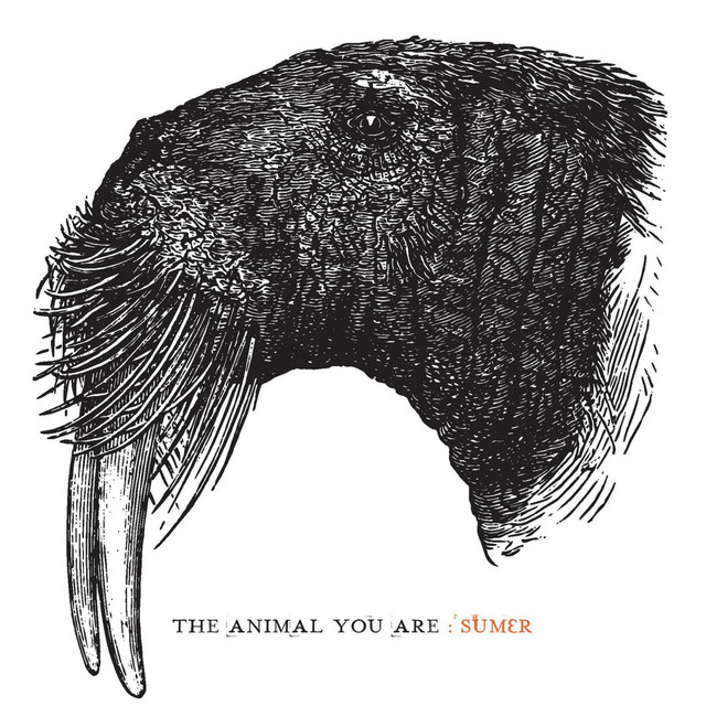 The Animal You Are cover art
