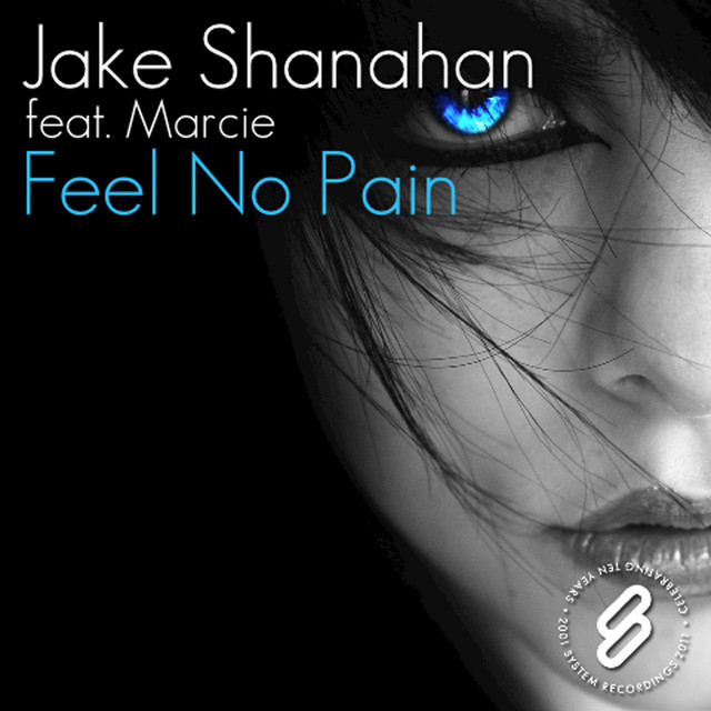 Feel No Pain cover art