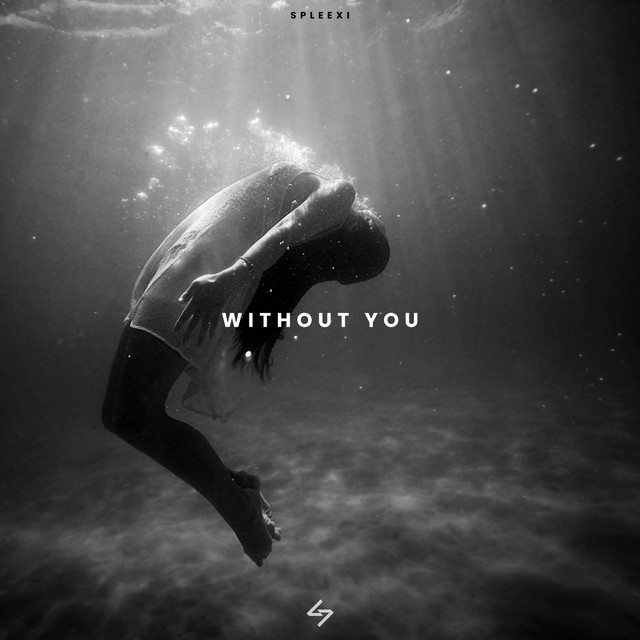 Without You