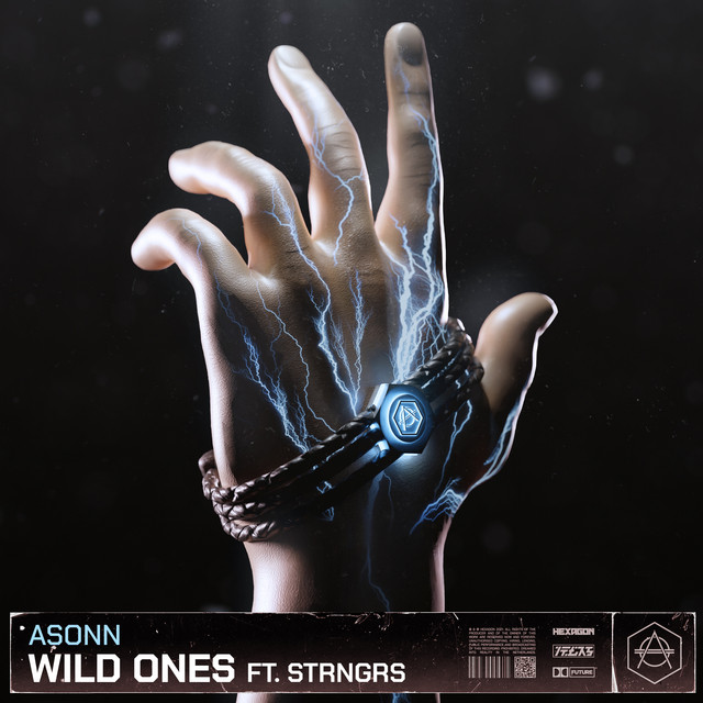 Wild Ones cover