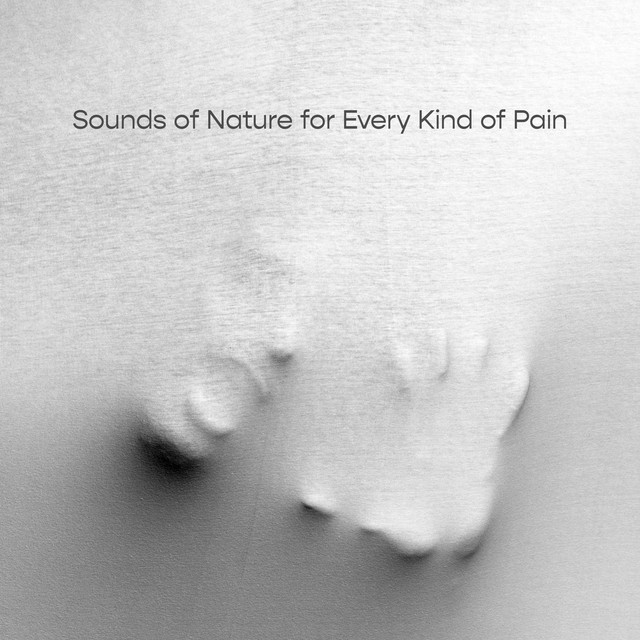 Earthly Echoes for Every Kind of Pain cover art