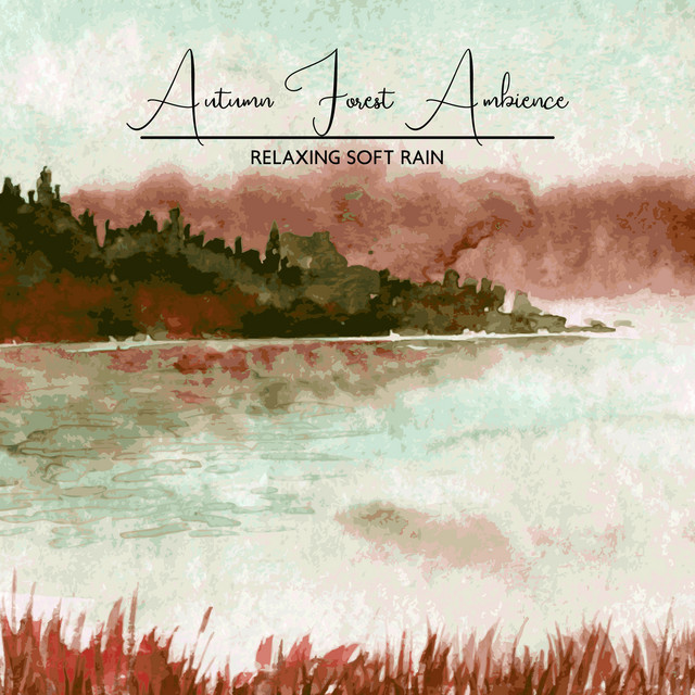 Autumn Forest Ambience - Relaxing Soft Rain, Helps Insomnia & Anxiety, Healing Meditation Sounds of Nature, Deep Sleep Music cover art