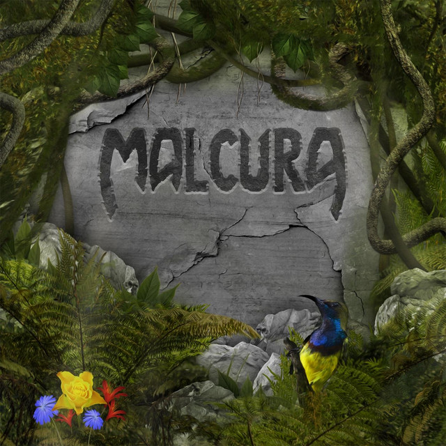 Malcura cover