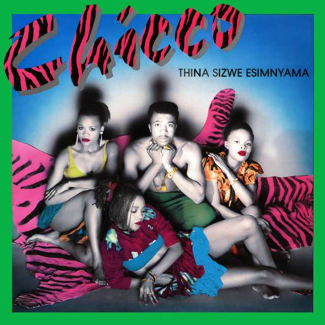 Thina Sizwe Esimnyama cover art