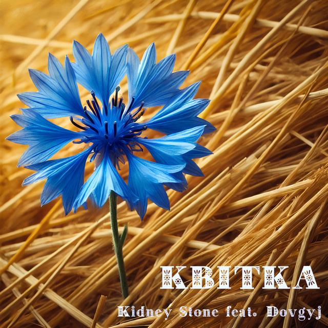 Обкладинка: Квітка — Kidney Stone