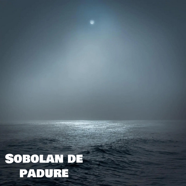 Șobolan de pădure cover art