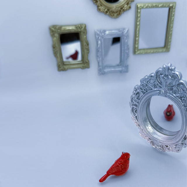 How Have I Let You Down ? cover art