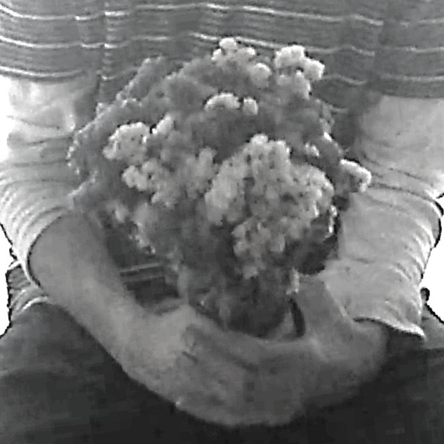 las flores que me diste cover art