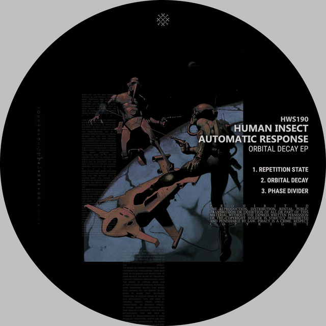 Human Insect - Repetition State