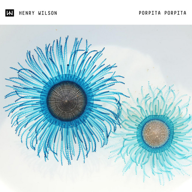 Porpita Porpita (Extended Mix) cover