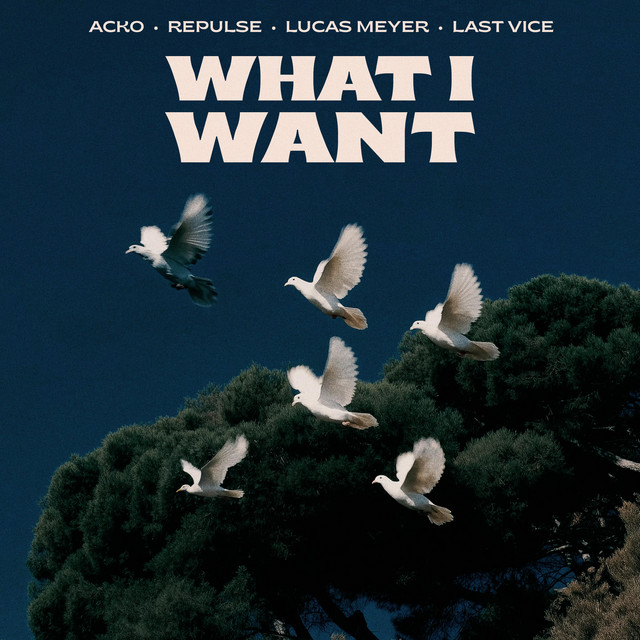 What I Want