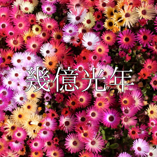 幾億光年「Eye Love You」より (原曲:Omoinotake)[ORIGINAL COVER