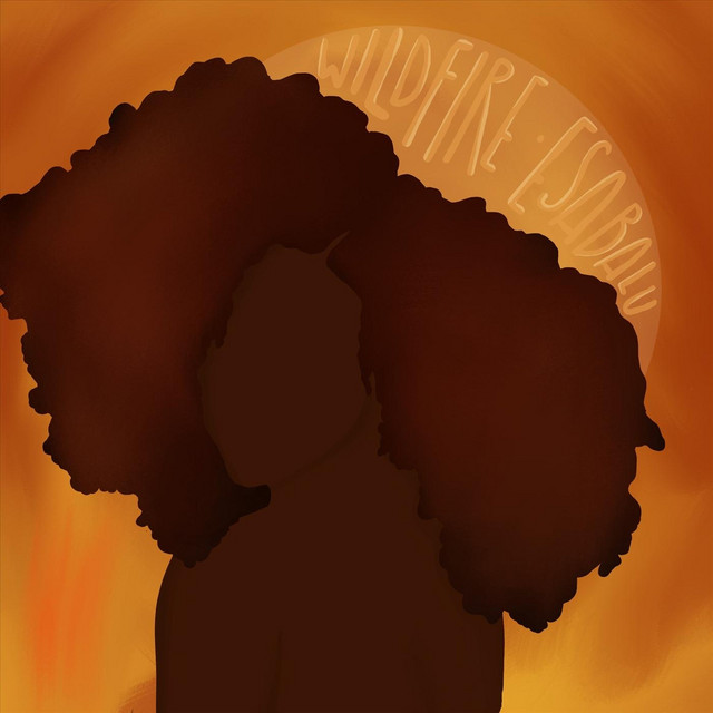 Wildfire cover art