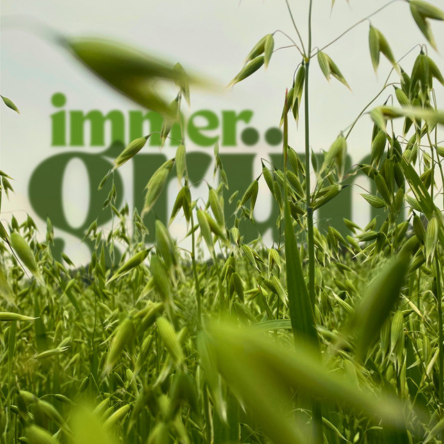 Immergrün cover art