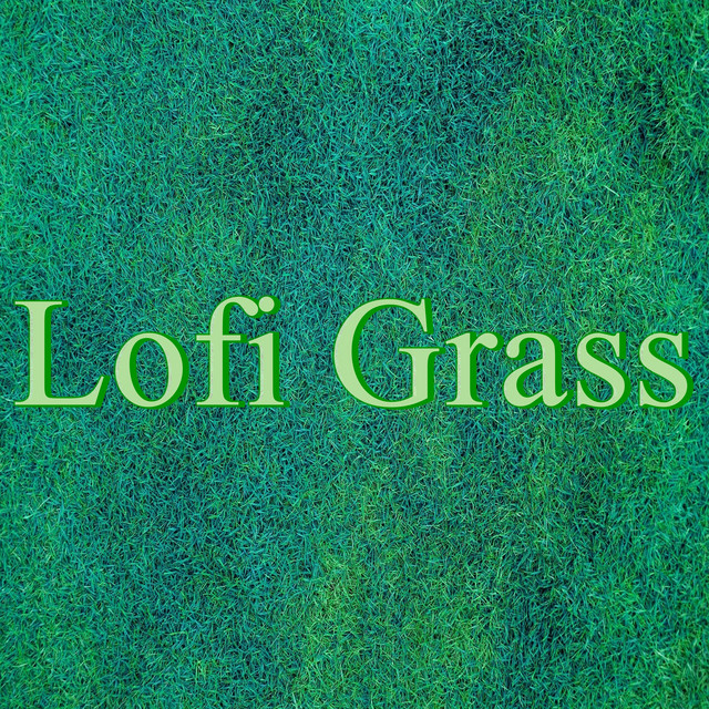 Lofi Grass cover art