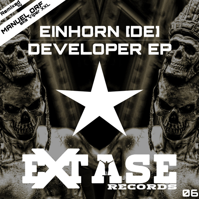 The Developer album art