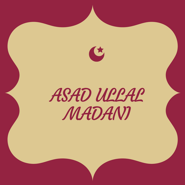 Asadullah Madani Saifi Vol 1 cover art