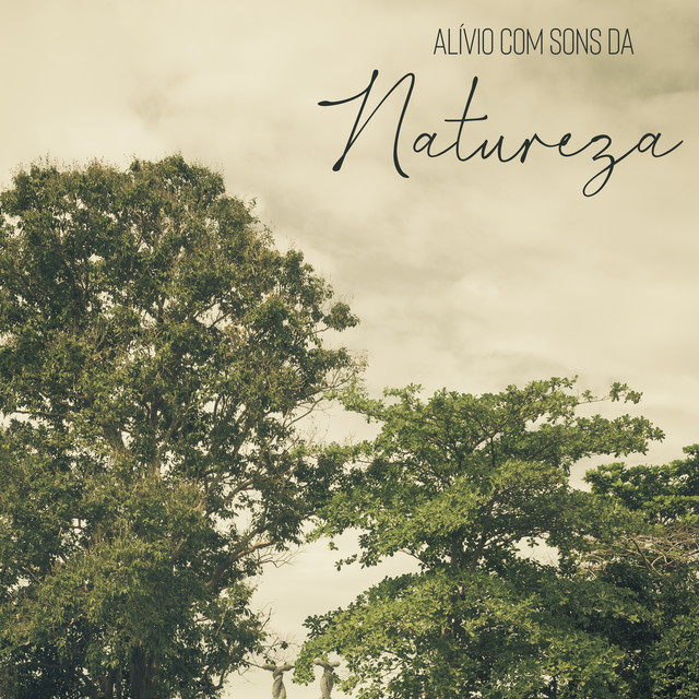 Elimina o Estresse cover art