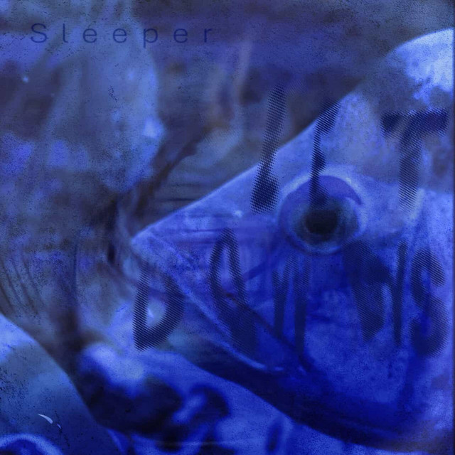 Sleeper cover art