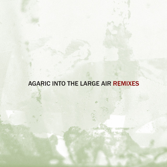 Into the Large Air, Pt. 1 (Remixes) cover art