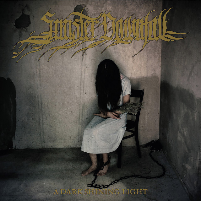 A Dark Shining Light cover art