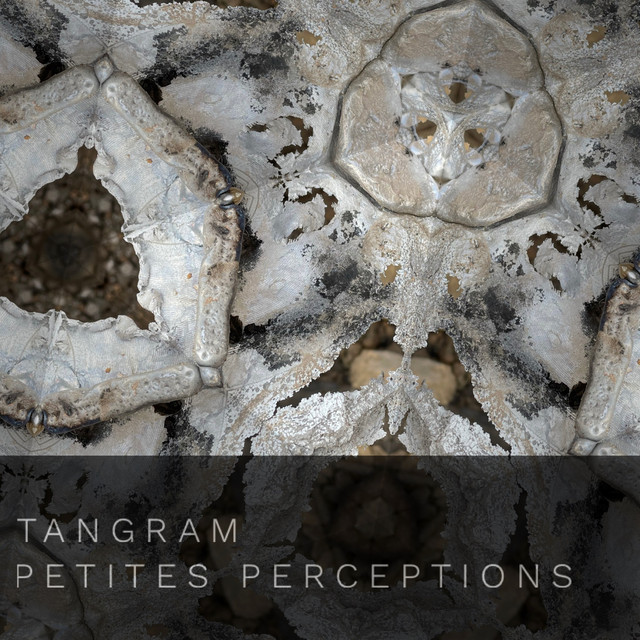 Petites Perceptions cover art