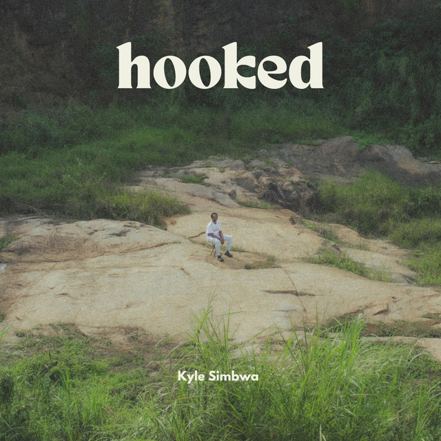Cover image of Hooked