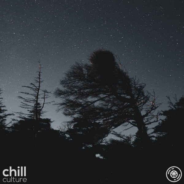 Howling Wind, Thunder And Rain At Night cover art