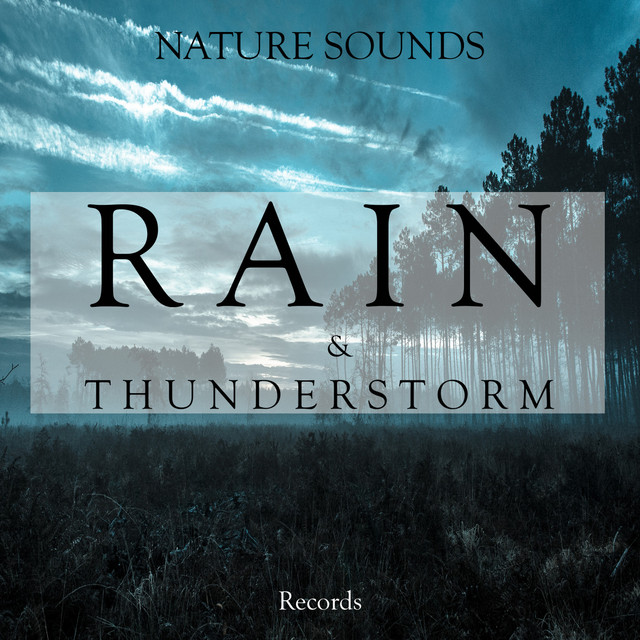 Nature Sounds: Rain and Thunderstorm Records cover art