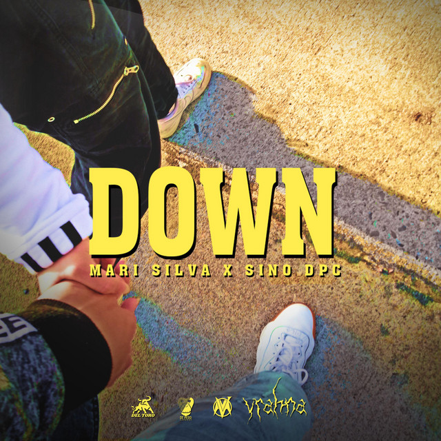 Down cover art